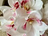 24 vienetų Orchidėjų puokštė dirbtinių gėlių - nuotraukos Nr. 6