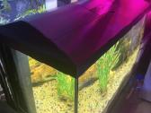 Akvariumas Aquael 105 litrai.