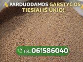 Garstyčios