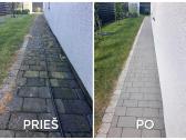Trinkelių Plovimas