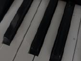 Casio cdp 130 - nuotraukos Nr. 3
