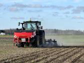 Kukurūzų sėja (+ Strip-till) - nuotraukos Nr. 4