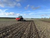 Kukurūzų sėja (+ Strip-till) - nuotraukos Nr. 5