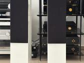 Pylon Audio Diamond 25 (Made in Poland) - nuotraukos Nr. 4