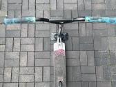 Custom triukinis paspirtukas - nuotraukos Nr. 3
