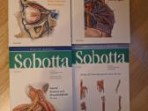 Sobotta En. 16 laida