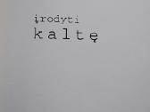 Įrodyti kaltę - nuotraukos Nr. 2