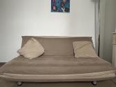 Ligne Roset sofa