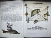 A. Každailis. Ko verkė plekšnytė - nuotraukos Nr. 6