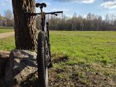 Orbea Oiz Ltd - nuotraukos Nr. 2