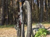 Orbea Oiz Ltd - nuotraukos Nr. 3