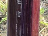 Orbea Oiz Ltd - nuotraukos Nr. 8