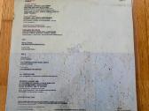 Vinilai: Sinatra, Madonna,bon Iver ir kt Lp - nuotraukos Nr. 3