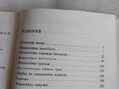 Romantizmo tradicija lietuvių literatūroje - nuotraukos Nr. 3