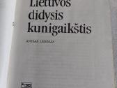 Švitrigaila Lietuvos didysis kunigaikštis - nuotraukos Nr. 2