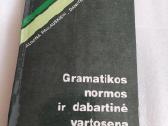 Gramatikos normos ir dabartinė vartosena