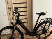 Elektrinis dviratis Ecobike X-cross L/19 - nuotraukos Nr. 2