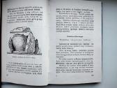 Ką kalneliai pasakoja. Kai dar amžina ugnis ruseno - nuotraukos Nr. 5