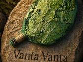 Vantos - Ąžuolas / Beržas / Kanados ąžuolas - nuotraukos Nr. 2