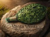 Vantos - Ąžuolas / Beržas / Kanados ąžuolas - nuotraukos Nr. 3