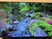 LG Oled65bx3lb naudotas televizorius