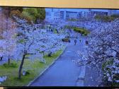 LG Oled65bx3lb naudotas televizorius - nuotraukos Nr. 3
