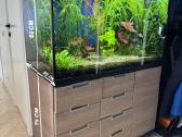 Akvariumas su viskuo