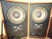 Tannoy Cheviot Hpd 315a
