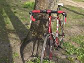 Fuji Sportif 1.5 2013 - nuotraukos Nr. 3