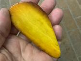 Perkame gintara,monetas,senienas