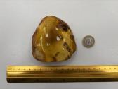 Gintaro grynuolis svoris 109g. Kaina 500 Eur - nuotraukos Nr. 4