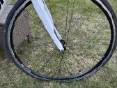 Bianchi Intenso - nuotraukos Nr. 3