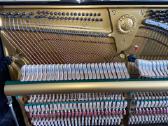 Koncertinis Yamaha U3 mod. 131 made in Japan - nuotraukos Nr. 12
