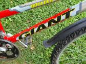Giant.