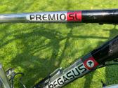 Pegasus Premio SL miesto dviratis (vokiškas, komfo - nuotraukos Nr. 2