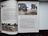 D. Kinderis. Atgal į Afriką - nuotraukos Nr. 8