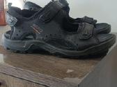 Ecco '43