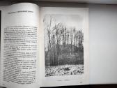S. Maziliauskas. Lietuvos kelias krikščionybėn - nuotraukos Nr. 11