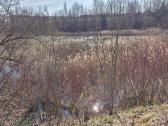 Vandens telkinys sklypo rytinėje dalyje - nuotraukos Nr. 16