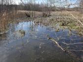 Rytų pusėje vandens telkinys. - nuotraukos Nr. 21