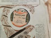 Gramafono plokštelės, vinilai - nuotraukos Nr. 6