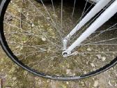 Trek sportinis dvyratis - nuotraukos Nr. 3