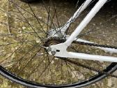 Trek sportinis dvyratis - nuotraukos Nr. 9
