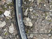 Trek sportinis dvyratis - nuotraukos Nr. 11