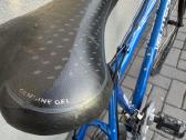 Velotech 28/l hibridas - nuotraukos Nr. 5