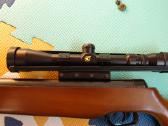 Gamo 300 - nuotraukos Nr. 6