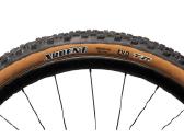 Maxxis Ardent Exo Tr 29x2.40 MTB padangos - nuotraukos Nr. 4