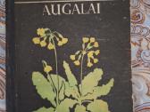 Vaistiniai augalai. 1973m.