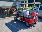 Elektrinis Keturratis Motoroleris Su Stogu