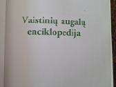 Vaistinių augalų enciklopedija - nuotraukos Nr. 2